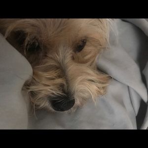 Meet your Posher, Marcia